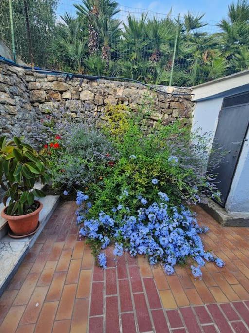 La Casa Di Mario A 滨海圣洛伦佐 外观 照片